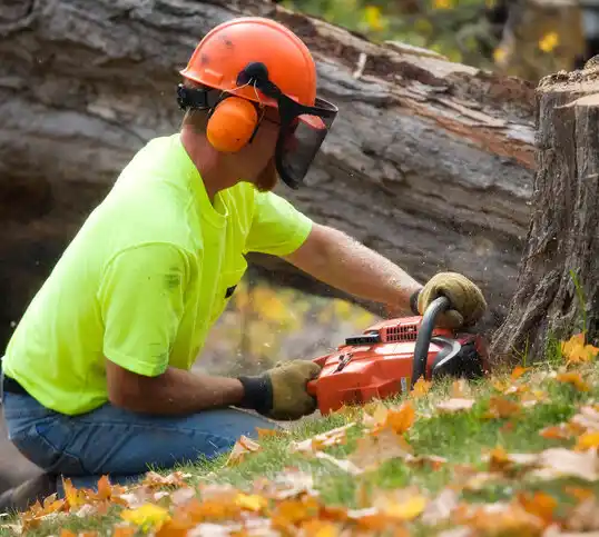 tree services Sheffield Lake